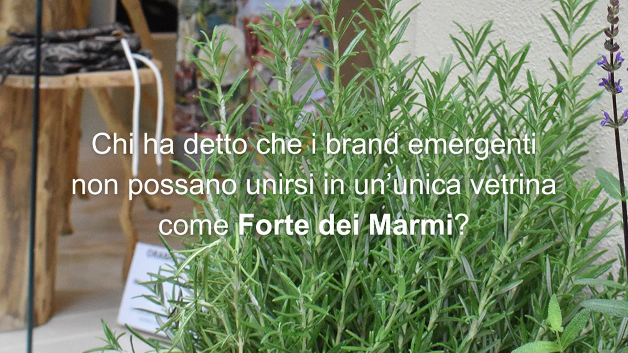 Forte dei Marmi, la nuova vetrina dei brand emergenti: il progetto Valensia in Via Idone 6 - Valensia