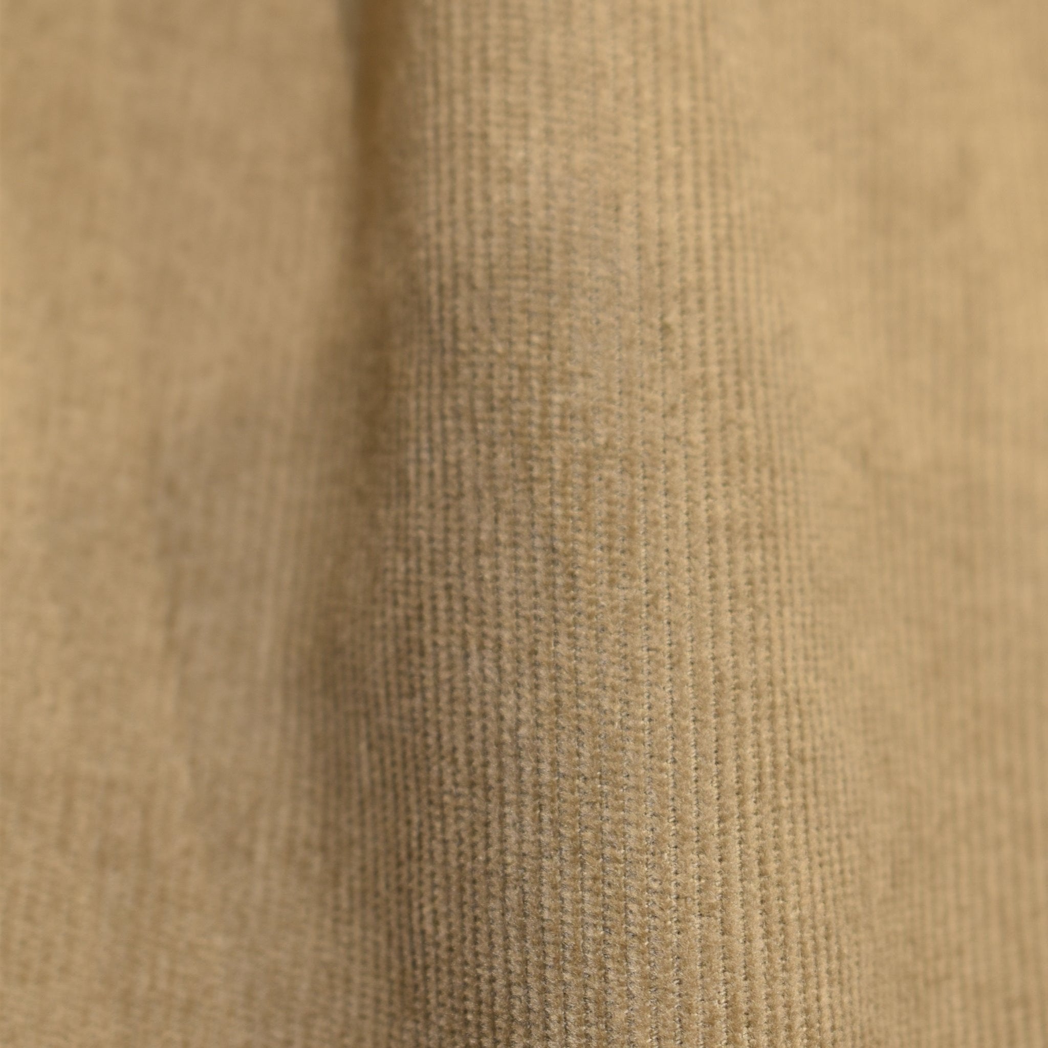 Pantavelluto beige primo piano texture- VALENSIA